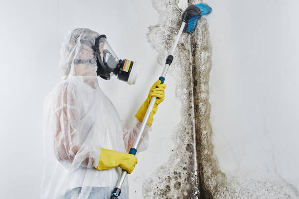Best HVAC Mold Remediation in Ancient Oaks, PA