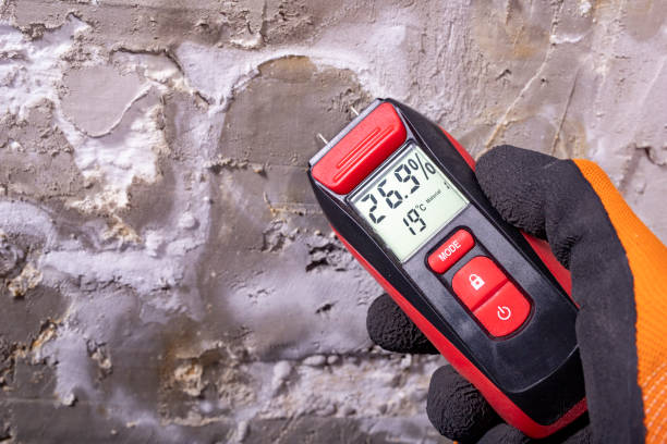 Best Insurance-Related Mold Remediation in Ancient Oaks, PA