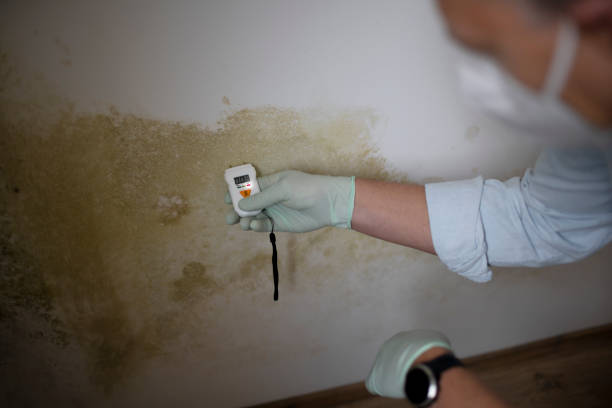 Best Post-Remediation Services in Ancient Oaks, PA