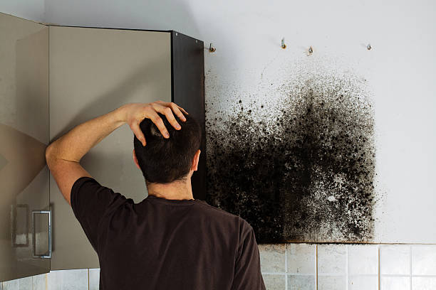 Best Post-Flood Mold Remediation in Ancient Oaks, PA